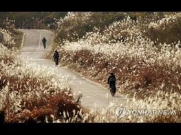 [한편의 시] 사이 기사 이미지