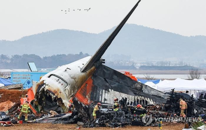 [무안공항 참사] 조류 충돌 외에도 복합적 원인 조사 필요 기사 이미지