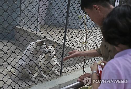 진돗개를 전시하고 있는 북한 동물원  인터넷 캡쳐