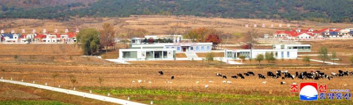 인터넷 캡쳐  조선중앙통신 137