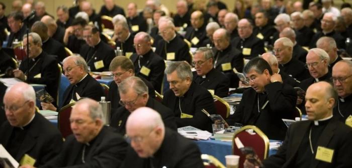 [USA 가톨릭 266] 미국 주교회의가 출생시민권에 대해 잘못 짚은 점 기사 이미지