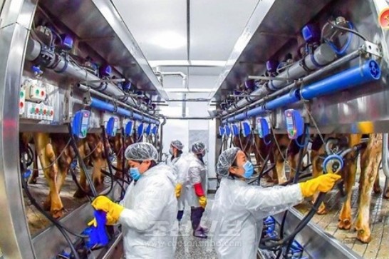 [북한의 오늘] “기존관념을 깼다”는 삼광축산농장