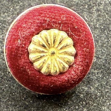 일본 지방의회도 ‘금배지 다이어트’