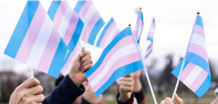 [USA 가톨릭 318] 트랜스 전쟁은 끝나지 않았다