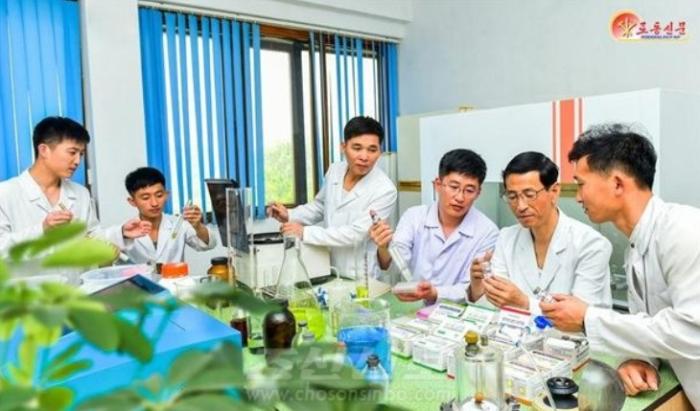 [북한 돋보기] “조선사람 체질에 맞는 약”이라는 선전