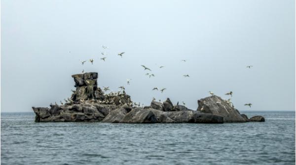 인천관광공사, ‘자연과 상생하는 관광 거점’ 생태관광마을 신규 모집