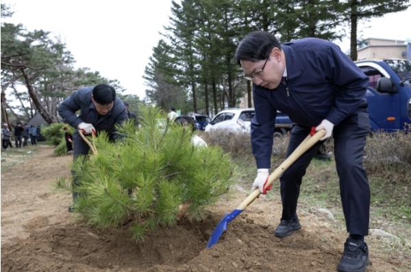 의림지 제림 소나무 후계목 이식행사 개최 기사 이미지