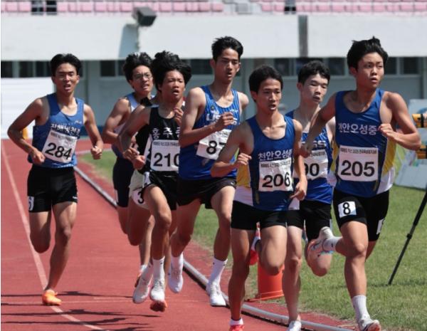 '트랙 위 한계에 도전'…익산서 전국육상경기대회 열전 기사 이미지