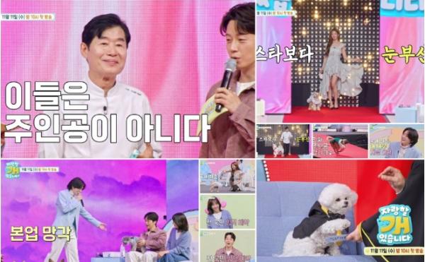 TV CHOSUN [자랑할 개] 이연복-김용빈-권은비-브라이언, 주인공 자리 뺏겼다! ‘본업 망각’ 팔불출 스타들의 ‘주객전도’ 티저 영상!