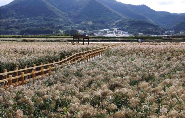 전남광주통합특별시, 서울·부산발 ‘남도한바퀴’ 1박 2일 상품 출시